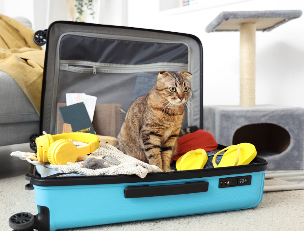 Cat In Suitcase Travel