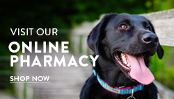 Pet Healthcare Products for Sale Online