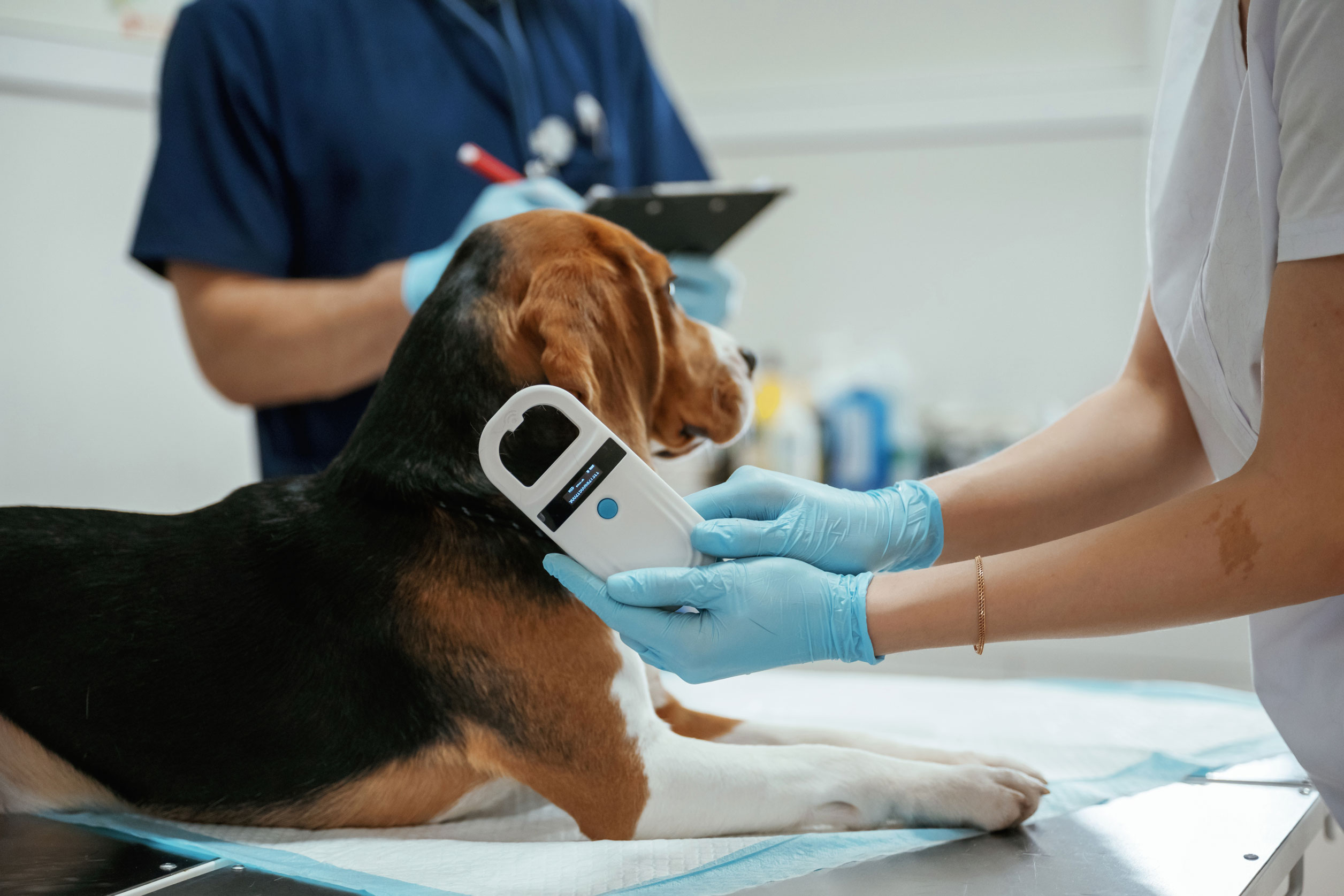 Registering the Microchip