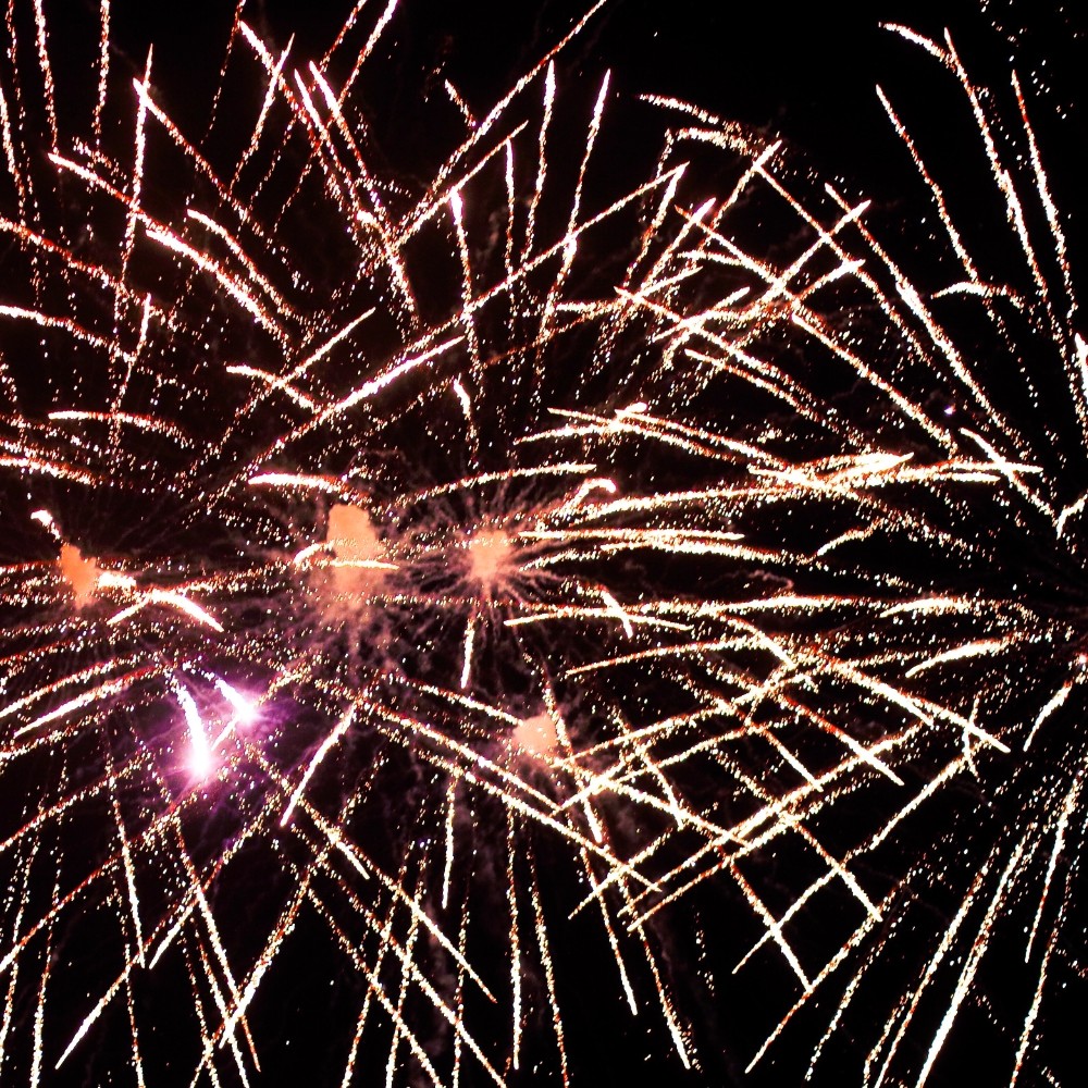 How to Ensure a Safe and Comfortable Experience for Your Pets This Independence Day