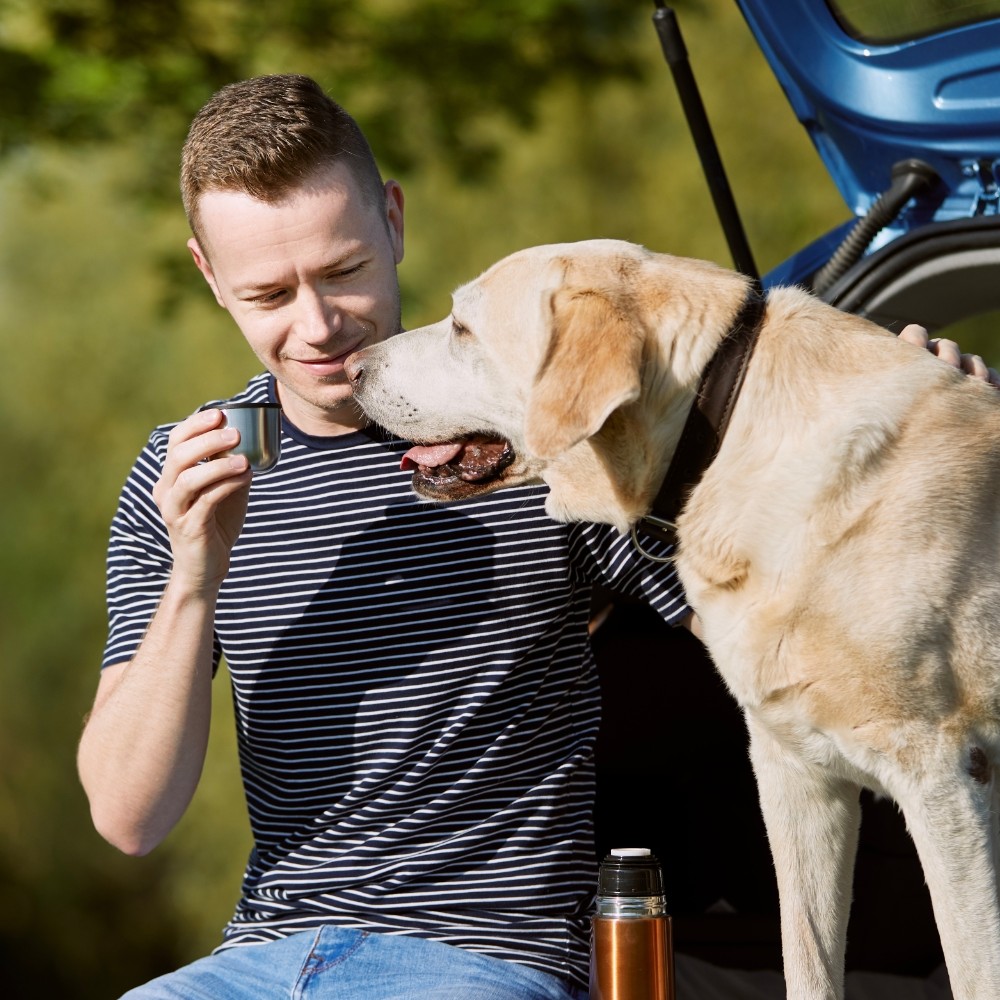 8 Tips To Keep Your Pet Safe and Happy While Travelling