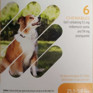 Interceptor-Plus-6-chewables-for-dogs-25.1-50-lbs-scaled-1.jpg