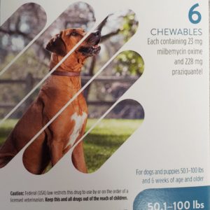 Interceptor-Plus-6-chewables-for-dogs-50.1-100-lbs-scaled-1.jpg