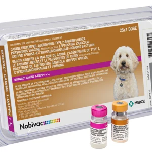 Nobivac Canine 1 Dappvl4 With Vial Featured Image