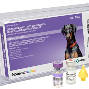 Nobivac Canine Intratrac3 25x1 W Vial Featured Image