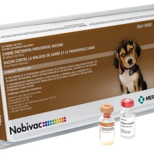 Nobivac Puppy Dpv With Vial Featured Image